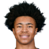 https://img.jingyuzhiboo.com.cn/img/basketball/player/bd7d288f85d0330395ba001d352a85d3.png