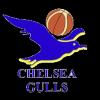 https://img.jingyuzhiboo.com.cn/img/basketball/team/0d36b73786230e17d7d718ab10adab87.png