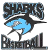 https://img.jingyuzhiboo.com.cn/img/basketball/team/fc6632a794e74357912e097eadf99a17.png