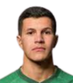 https://img.jingyuzhiboo.com.cn/img/football/player/16b124055082fc8f6781e435c96936b2.png