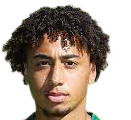 https://img.jingyuzhiboo.com.cn/img/football/player/347a6d58ae7ec0425a4d42bc9215c411.png