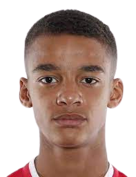 https://img.jingyuzhiboo.com.cn/img/football/player/36ffb830d16dba074b96e5c8c1a2608f.png