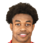 https://img.jingyuzhiboo.com.cn/img/football/player/64aea37ce0103535429e307ff7cca0e6.png
