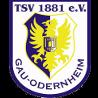 https://img.jingyuzhiboo.com.cn/img/football/team/0425718c842cc1330a6507bdde3c1da4.png
