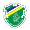 https://img.jingyuzhiboo.com.cn/img/football/team/079dd394cc2355231bb0aee65bd140a2.png