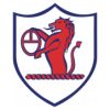 https://img.jingyuzhiboo.com.cn/img/football/team/11fb72f7b5eacfc881ee11bac75871fa.png