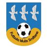 https://img.jingyuzhiboo.com.cn/img/football/team/259a1106a33b56d2bb3c458a62ffa2ea.png