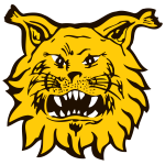 https://img.jingyuzhiboo.com.cn/img/football/team/9f170a9ffc15b4141b790f4ff042cc51.png