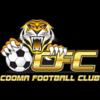 https://img.jingyuzhiboo.com.cn/img/football/team/cc4189282b08b40c695ca3fea36178c2.png