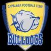 https://img.jingyuzhiboo.com.cn/img/football/team/da8bfcabb427caa8c01fbb244a1f77aa.png