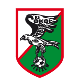 https://img.jingyuzhiboo.com.cn/img/football/team/e6a8908dd206e2ea02d9803c82c60bba.png